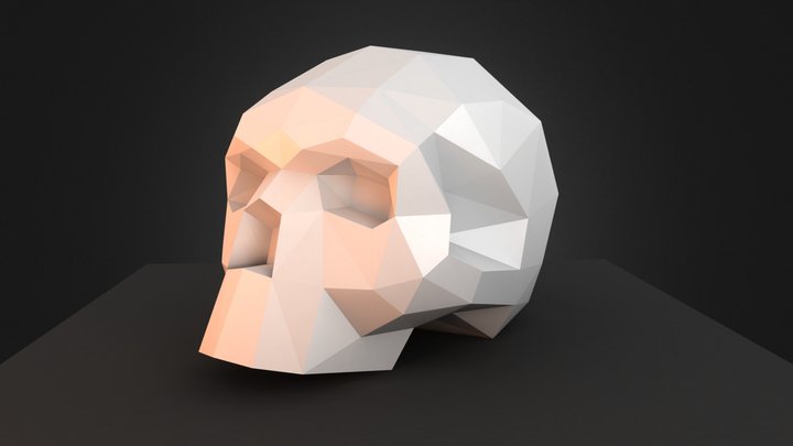 Noka3D - Human Skull 3D Model
