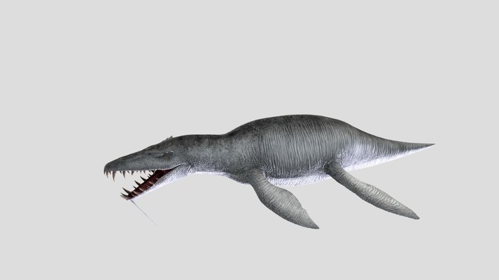 liopleurodon 3D Model