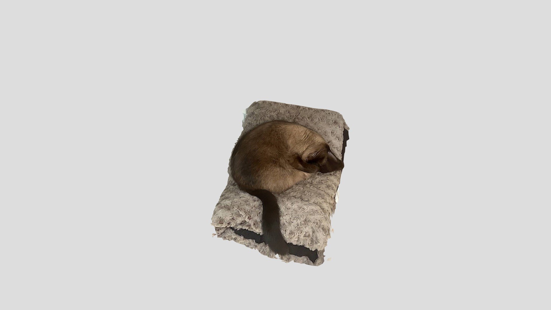 Princess Cat -- Apple LiDAR