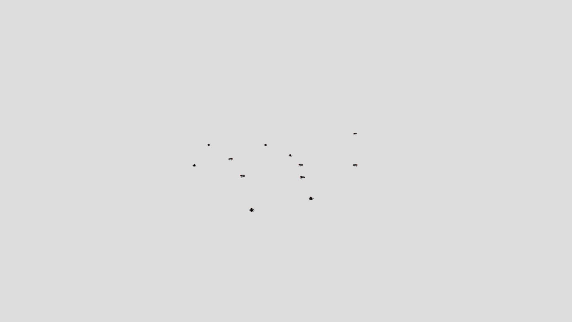 test2