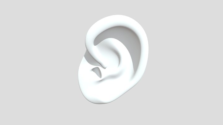 Ear Low Poly 3D Model