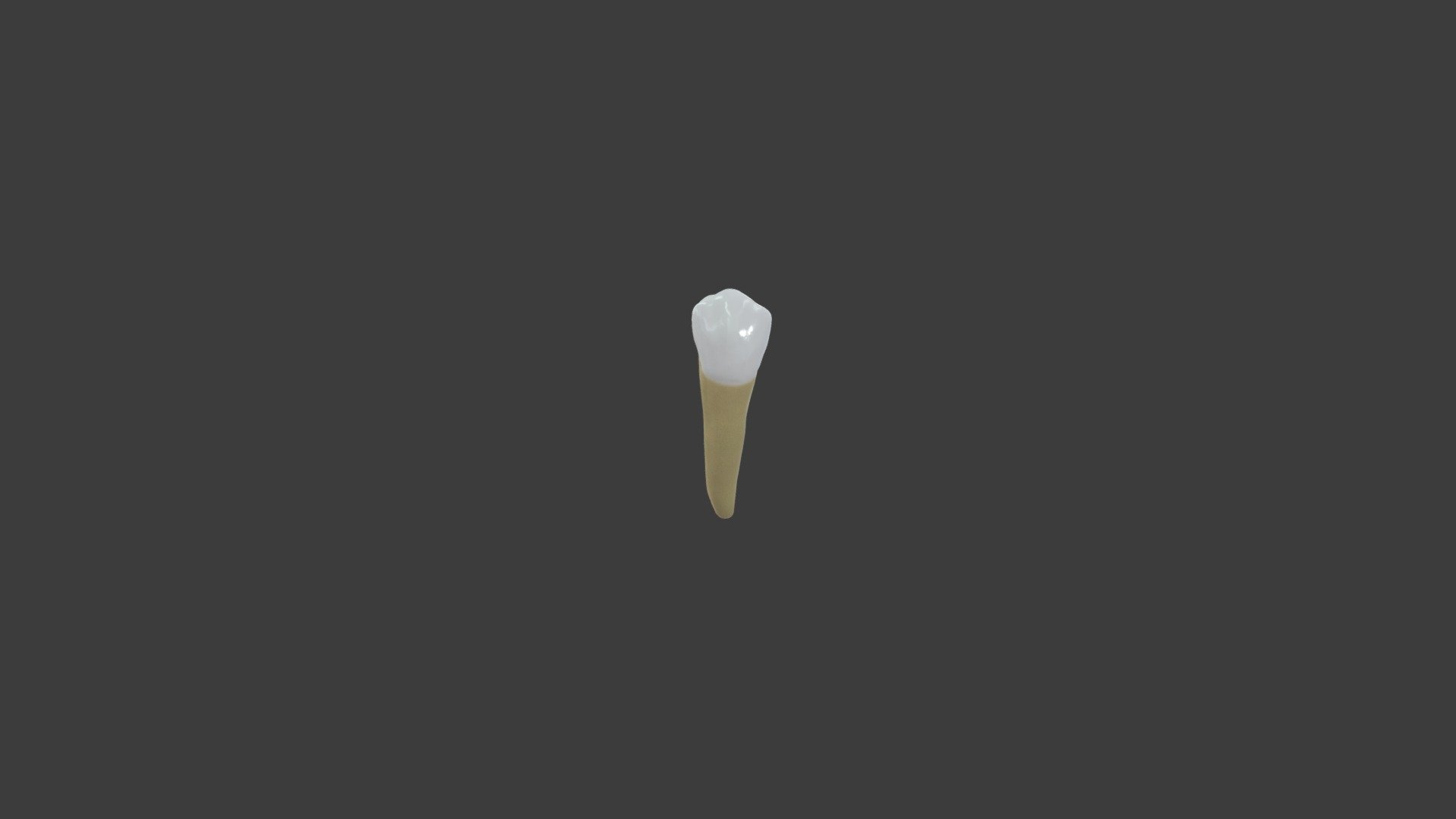 Mandibular Second Premolar Left