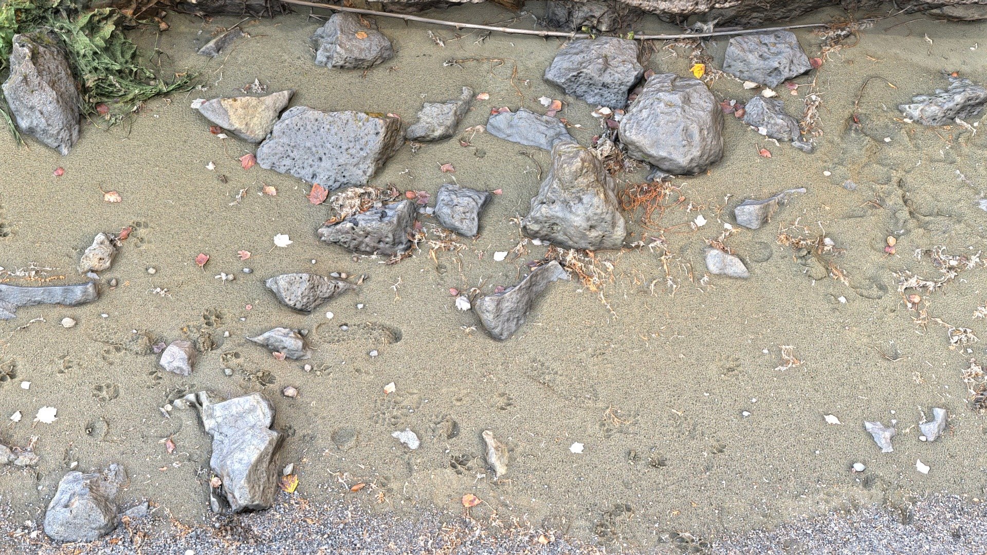 Beach and Stones_01