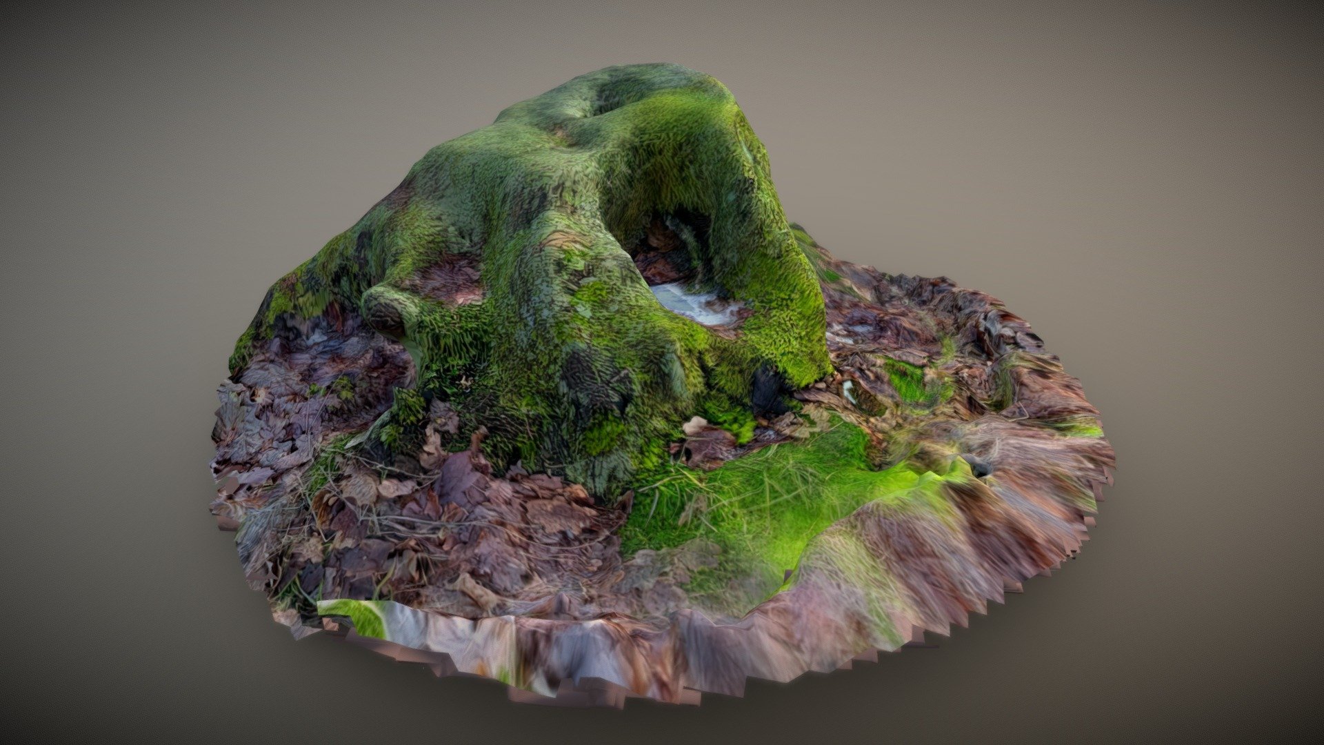 3D scanned tree stump 2