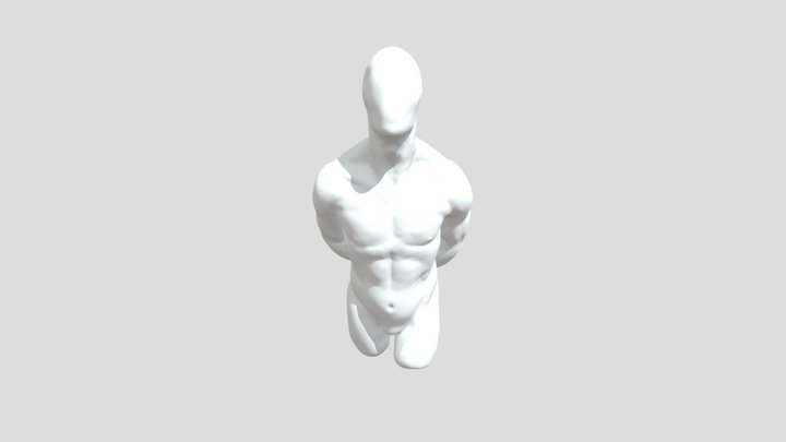 obj_free_male_anatomy 3D Model