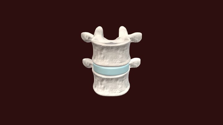 3dview2 3D Model
