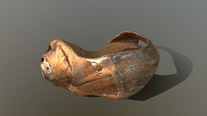 Fossil Shell 3D Model