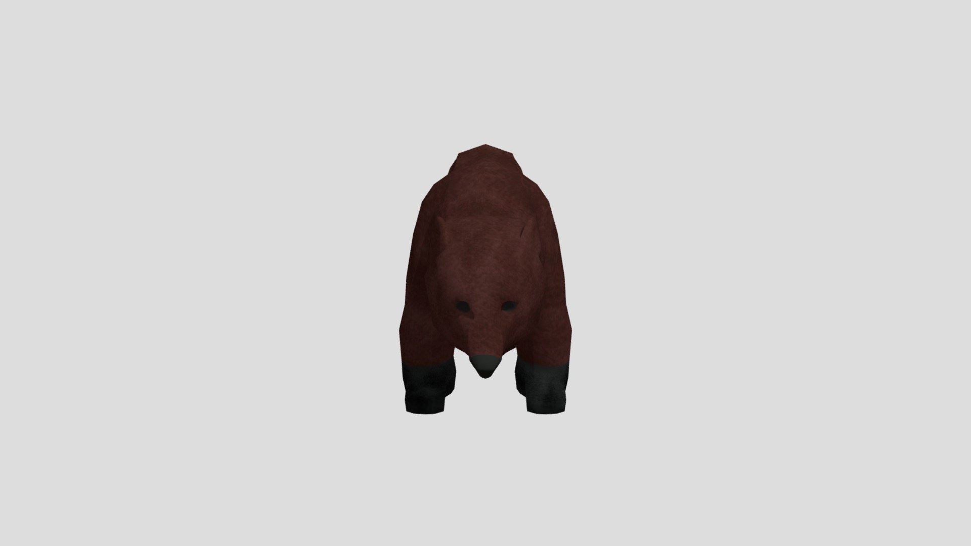 Bear - Henrique
