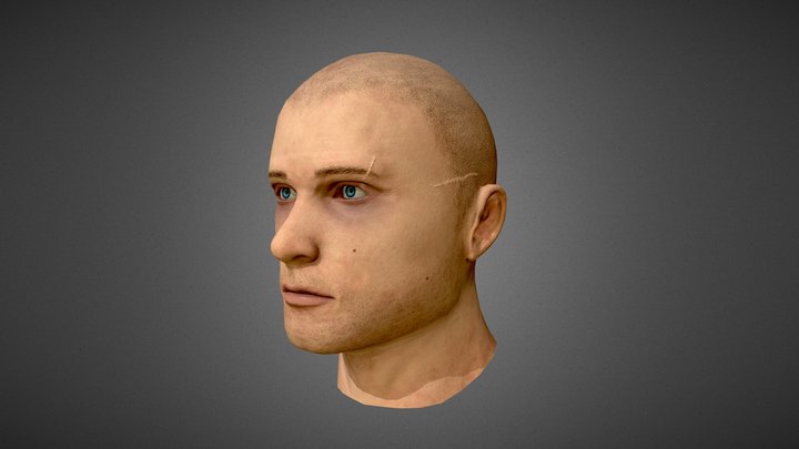 Male Face (head) 3D Model