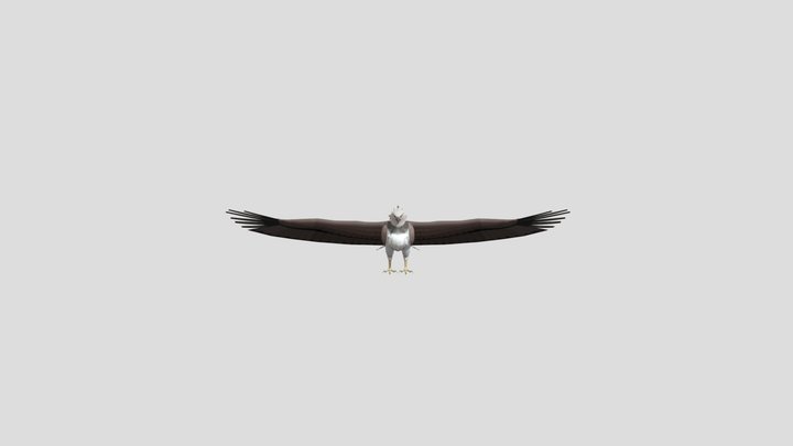 [Genshin Impact] Diluc Falcon