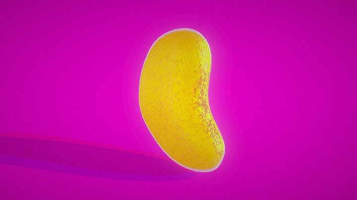 Chicken Nugit high qualtu envirmental low poly 3D Model