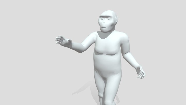 Lucy (Australopithecus afarensis) 3D Model