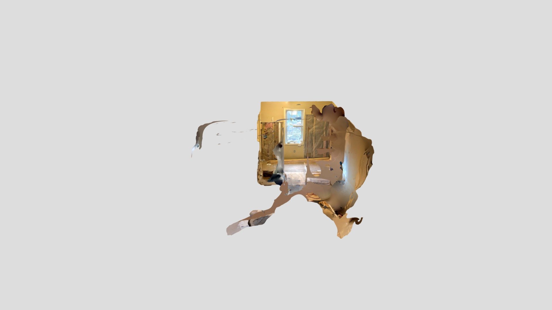 Polycam capture