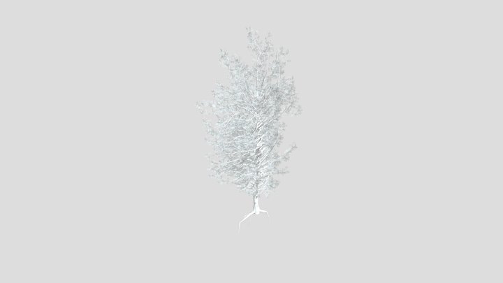 Sj Snowy Pine Tree – Free 3D Model STL