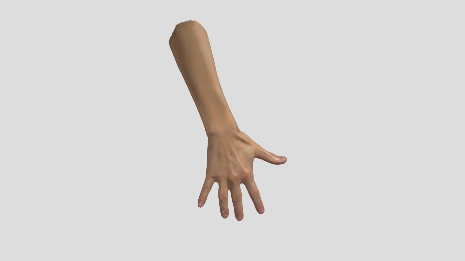 Human Hand 3D Scan High Quality Buy Royalty Free 3D model by