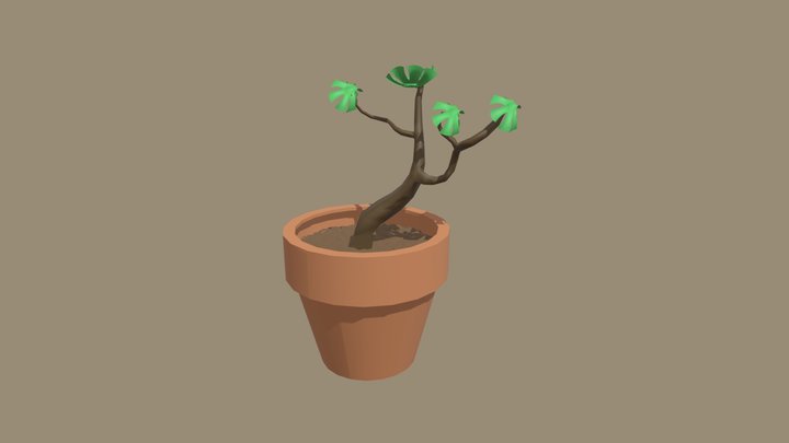 Week 8 Plant 3D Model