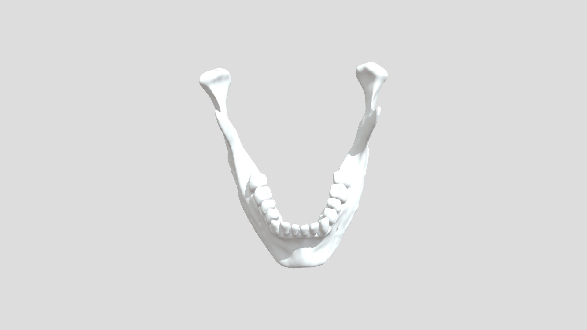 Mandibula - Download Free 3D model by KristianMinchev [13b4ddb] - Sketchfab