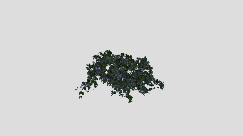 Flower Hanging Wall Plant