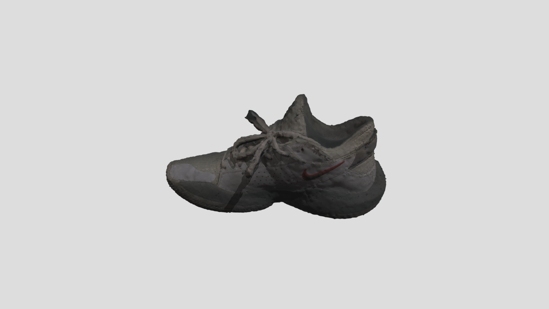 METASHAPE_SHOE_RAW