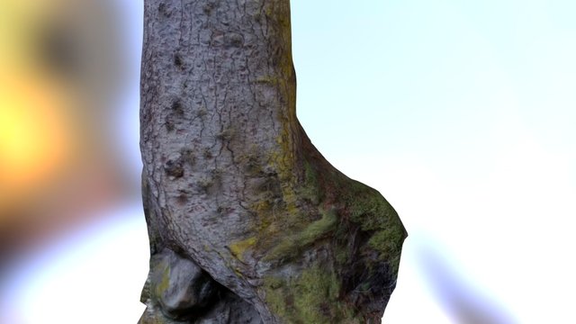 Magic Woods Tree Switzerland 3D Model
