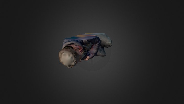 Carl van der Putten 3D Model