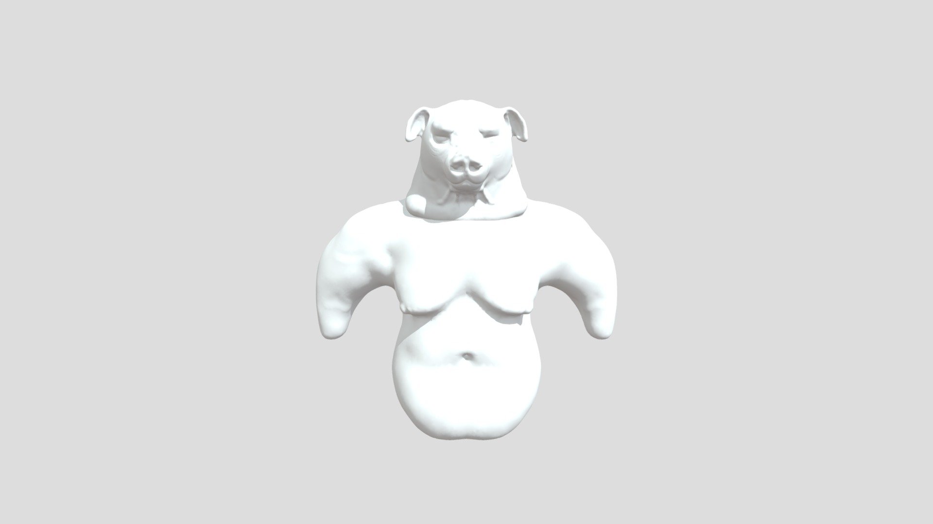 Pig Body
