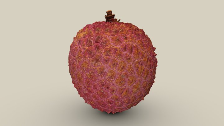 Fruit shop - Lychee 3D Model