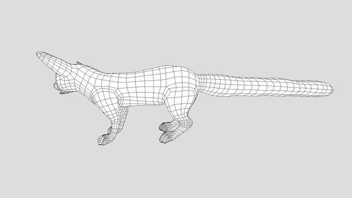 Ringtailed Cat 3D Model