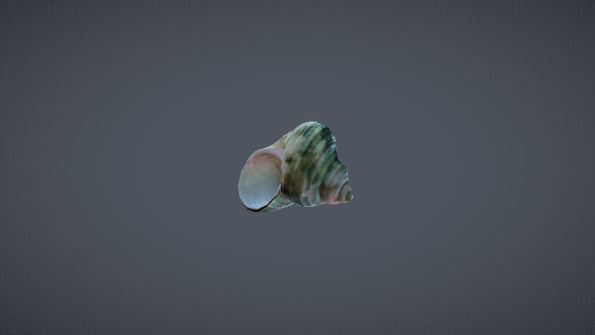 Green Shell