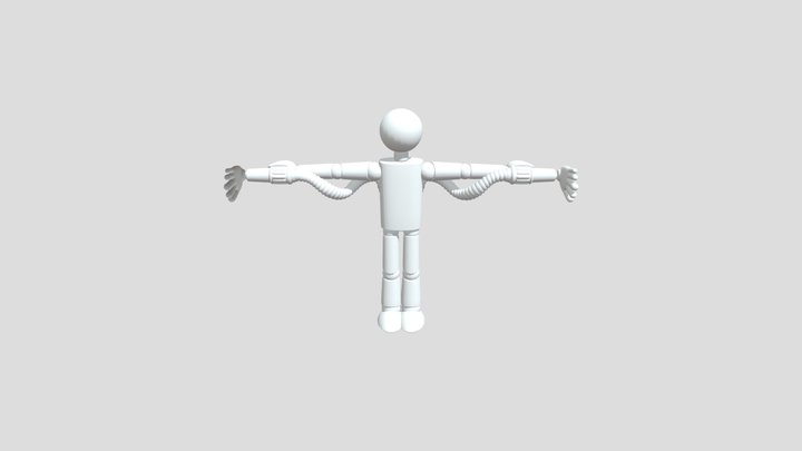 Project P Layer 3D Model