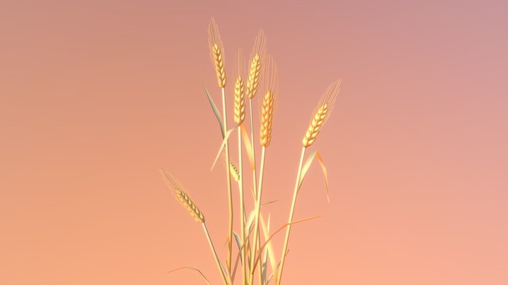 Wheat Anime Ghibli Style 3D Model