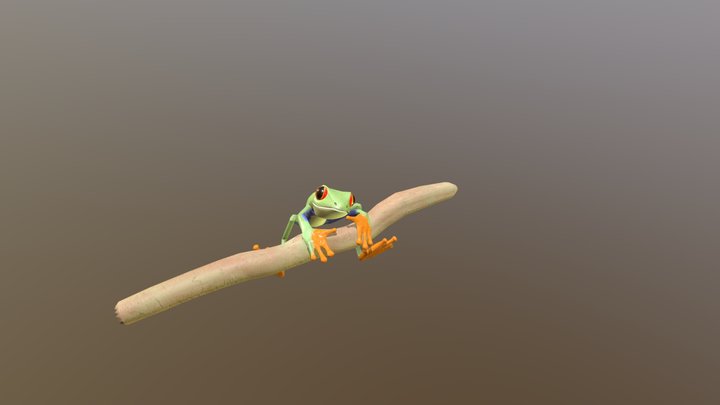 Red Eye Tree Frog 3D Model