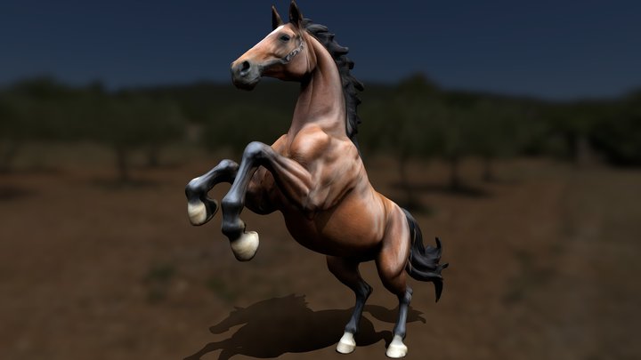 A Horse - Rearing Pose [MESHY]