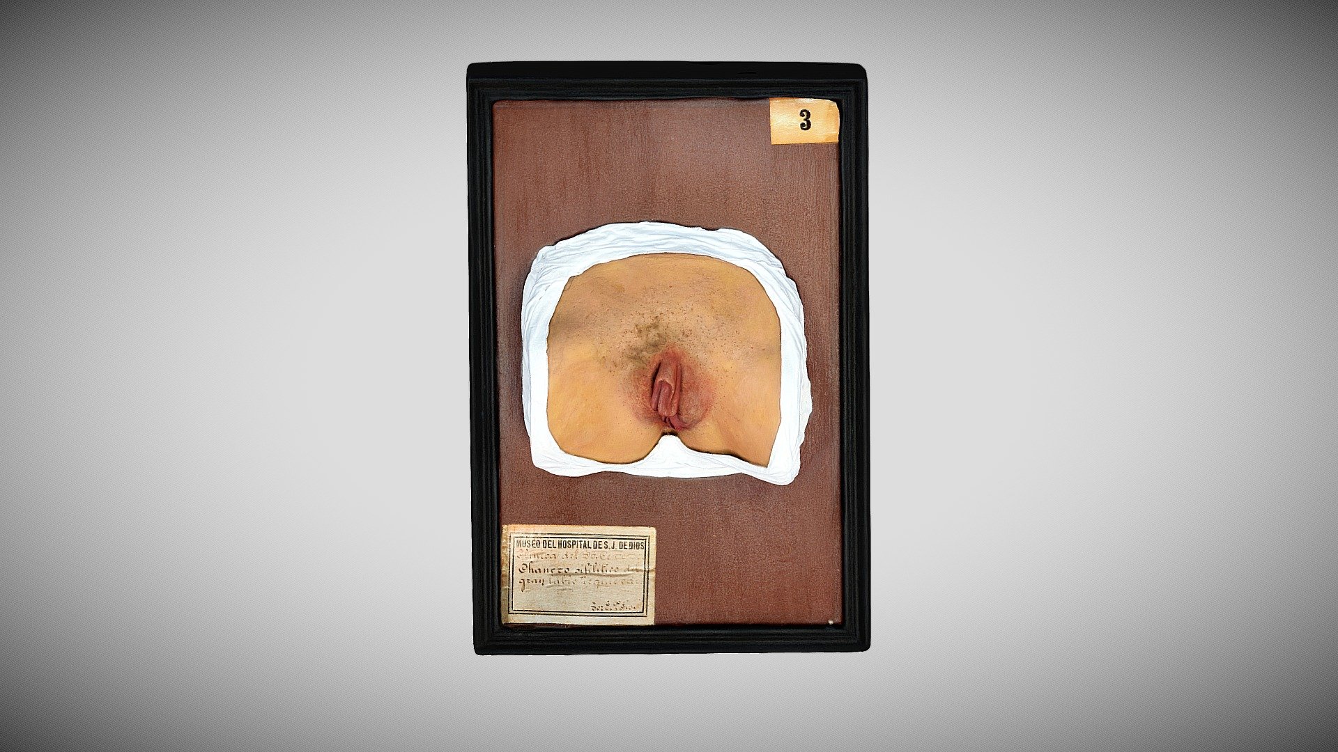 324 - 059 — Sketchfab embed 3D viewer