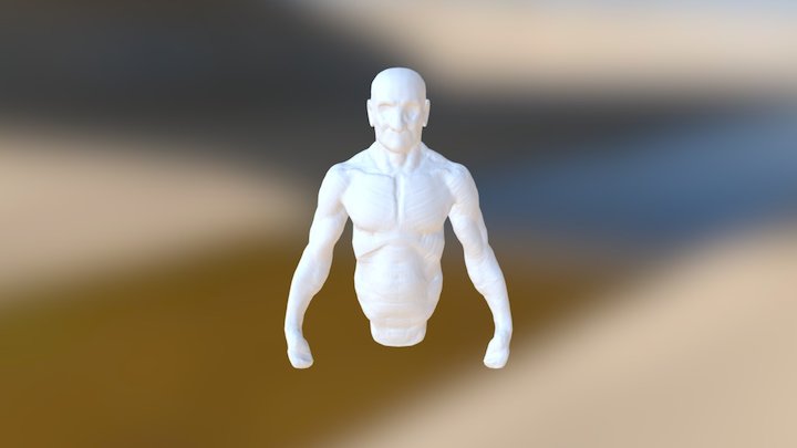 Male Upper Body 3D Model
