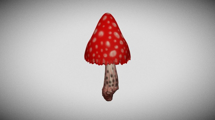 The mushroom 3D Model