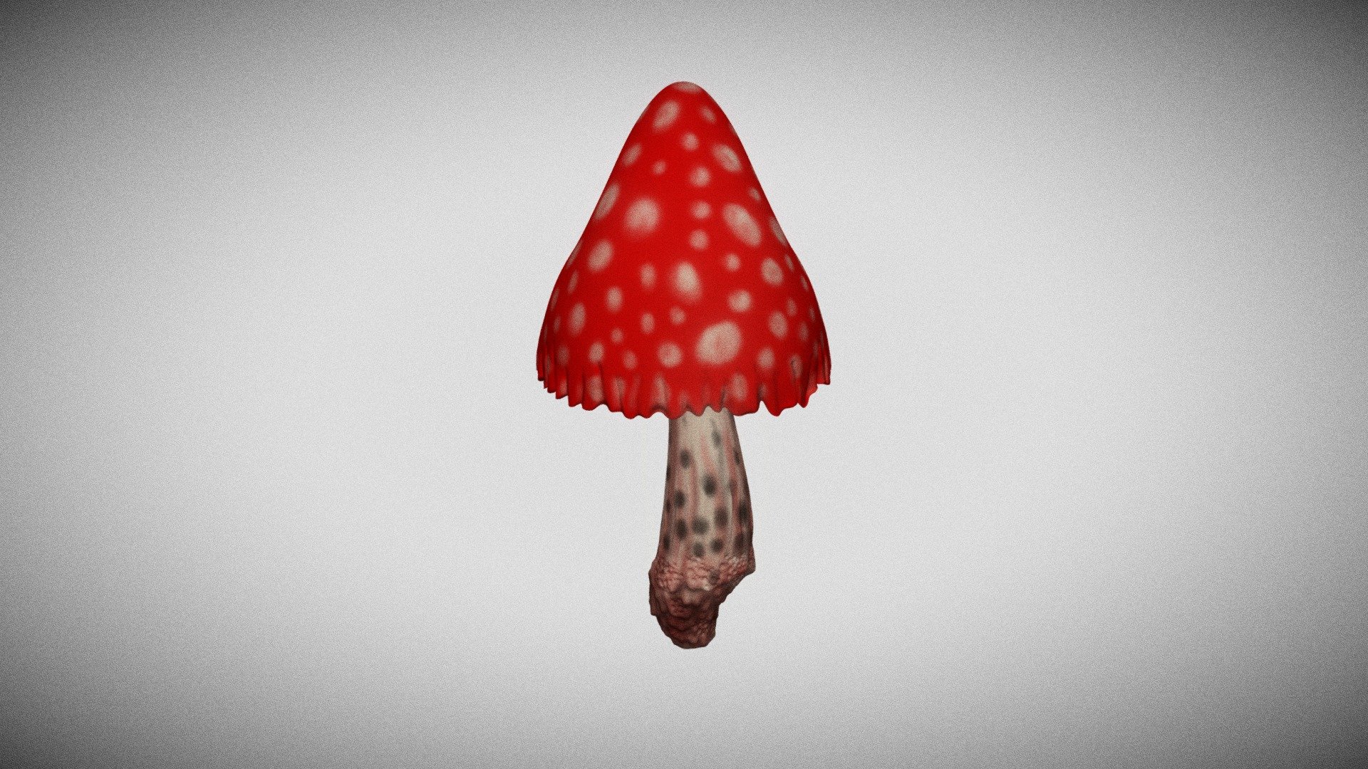 The mushroom