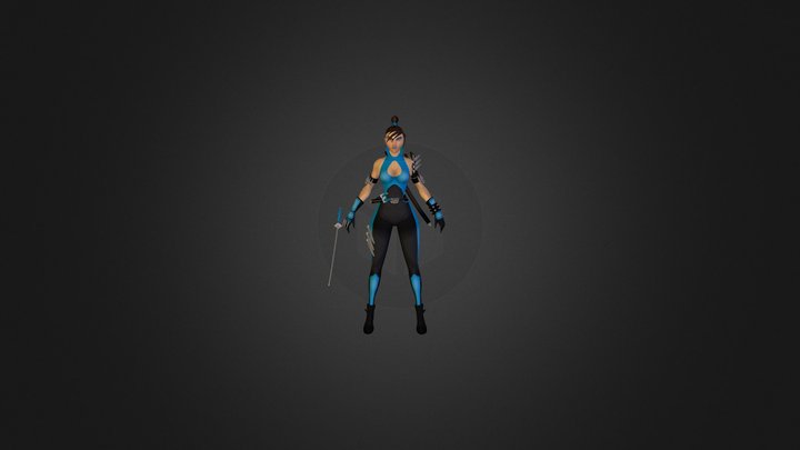 NinjaZip 3D Model