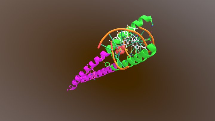 The dimerisation and DNA binding of CREB bZIP 3D Model