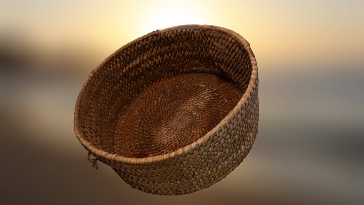 Pīts grozs 3D Model