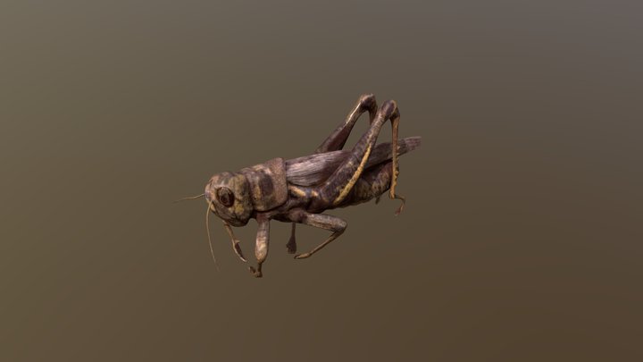 Grasshopper 3D Model