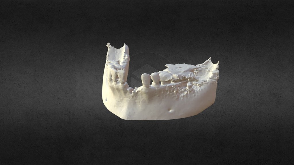 LI^YOU-low Poly