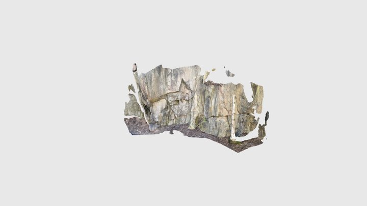 Rock wall (iPad pro scan) 3D Model