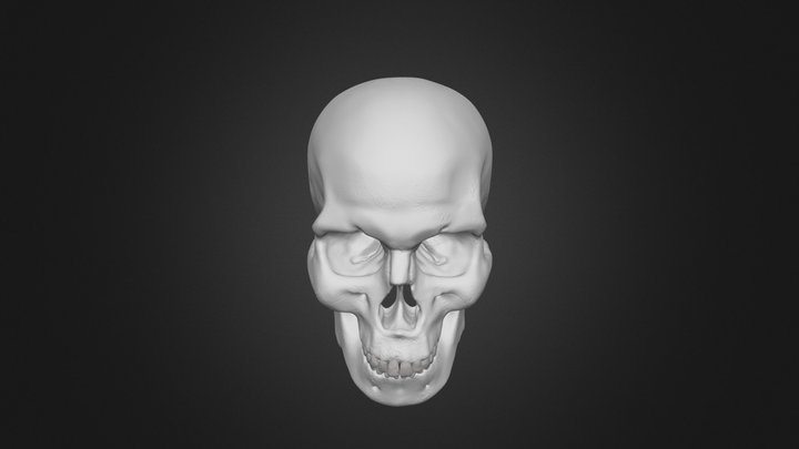 Homo sapiens - europeu caucásico - Masculino 3D Model