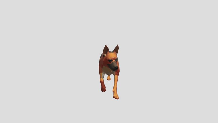 Polygon dog