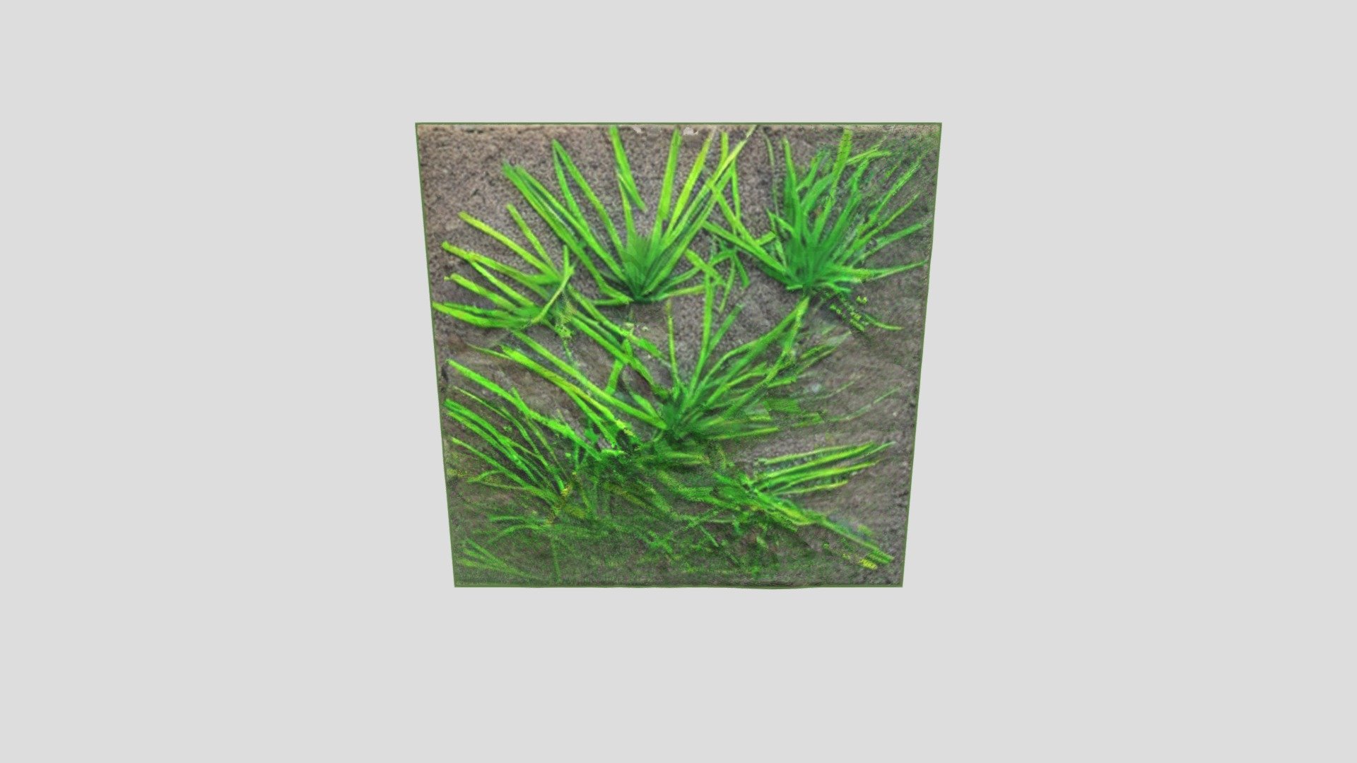 grassy terrain - Download Free 3D model by Encouraging Talents ...