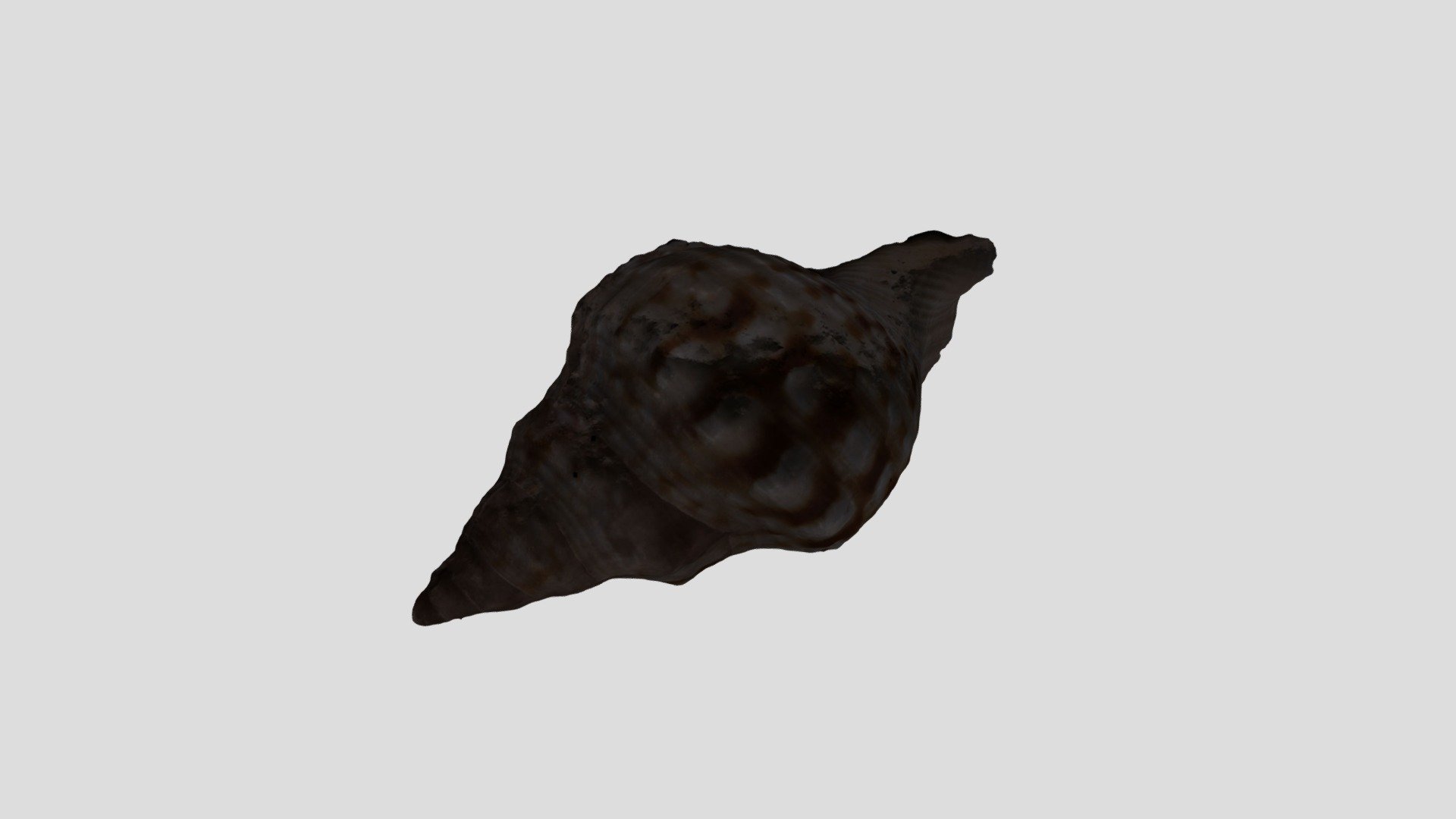 MESHROOM_SEASHELL_RAW