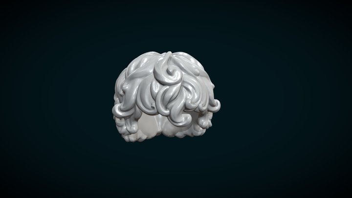 Curly Hair I 3D Model