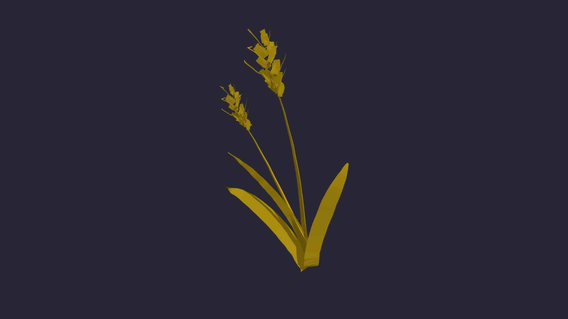 rye