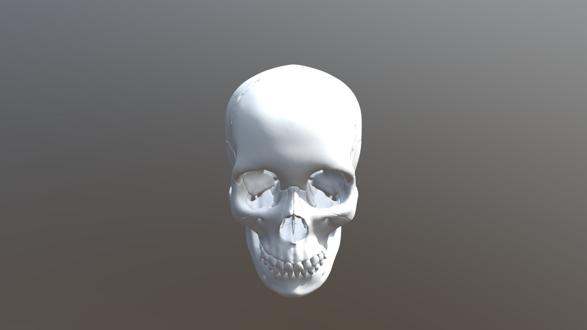 Anatomical Human Skull Sectioned 3D print model